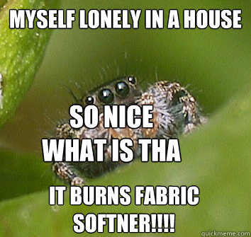 myself lonely in a house it burns fabric softner!!!! so nice what is tha - myself lonely in a house it burns fabric softner!!!! so nice what is tha  Misunderstood Spider