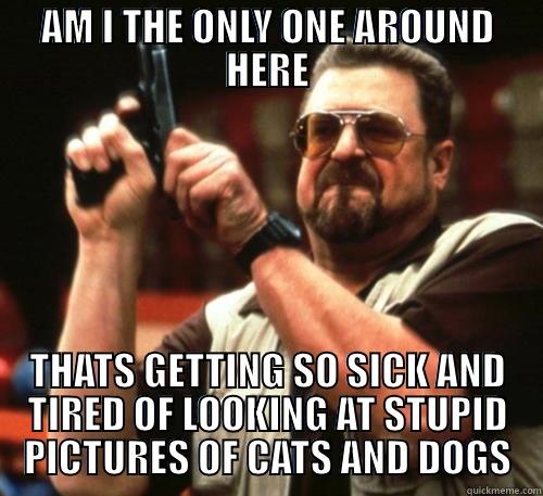 AM I THE ONLY ONE AROUND HERE THATS GETTING SO SICK AND TIRED OF LOOKING AT STUPID PICTURES OF CATS AND DOGS Am I The Only One Around Here