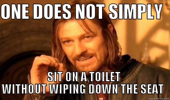 ONE DOES NOT SIMPLY   SIT ON A TOILET WITHOUT WIPING DOWN THE SEAT  Boromir