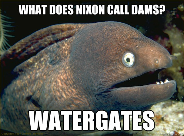 What does Nixon call dams? Watergates  Bad Joke Eel