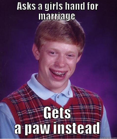 ASKS A GIRLS HAND FOR MARRIAGE  GETS A PAW INSTEAD Bad Luck Brian