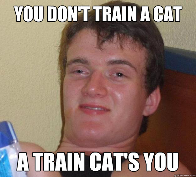 You don't train a cat a train cat's you  10 Guy