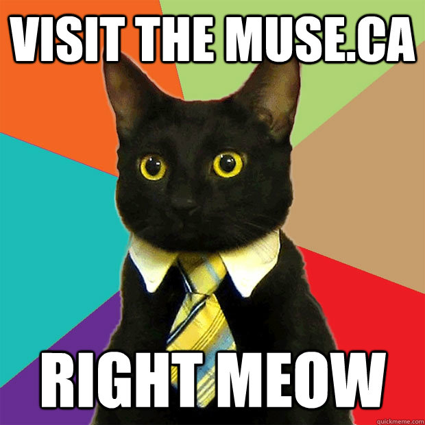 Visit the muse.ca right meow  Business Cat