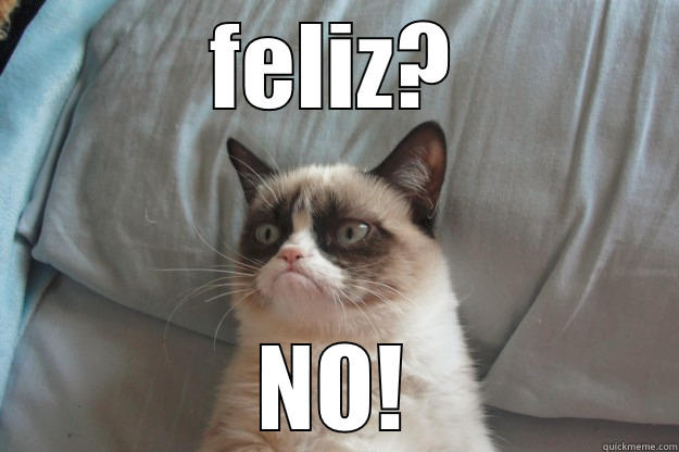 Missing locoooo - FELIZ? NO! Grumpy Cat