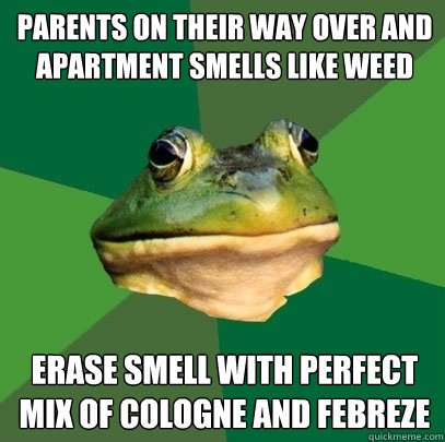 parents on their way over and apartment smells like weed erase smell with perfect mix of cologne and febreze  Foul Bachelor Frog