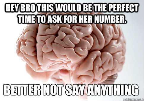 Hey bro this would be the perfect time to ask for her number.  Better not say anything  Scumbag Brain