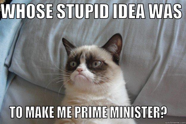 Cashal Morey - WHOSE STUPID IDEA WAS  TO MAKE ME PRIME MINISTER?    Grumpy Cat