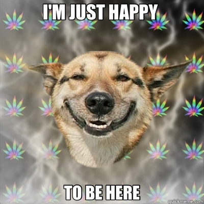 I'M JUST HAPPY  TO BE HERE - I'M JUST HAPPY  TO BE HERE  Stoner Dog