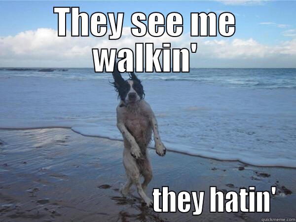 Haters gonna hate - THEY SEE ME WALKIN'                             THEY HATIN' Misc