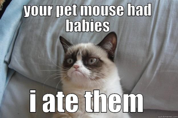 i ate them - YOUR PET MOUSE HAD BABIES I ATE THEM Grumpy Cat