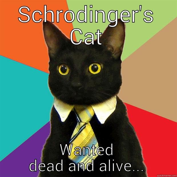 SCHRODINGER'S CAT WANTED DEAD AND ALIVE... Business Cat