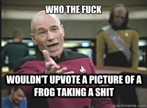 who the fuck Wouldn't upvote a picture of a frog taking a shit  Annoyed Picard