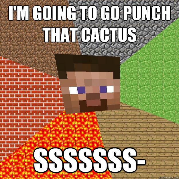 I'm going to go punch that cactus sssssss-  