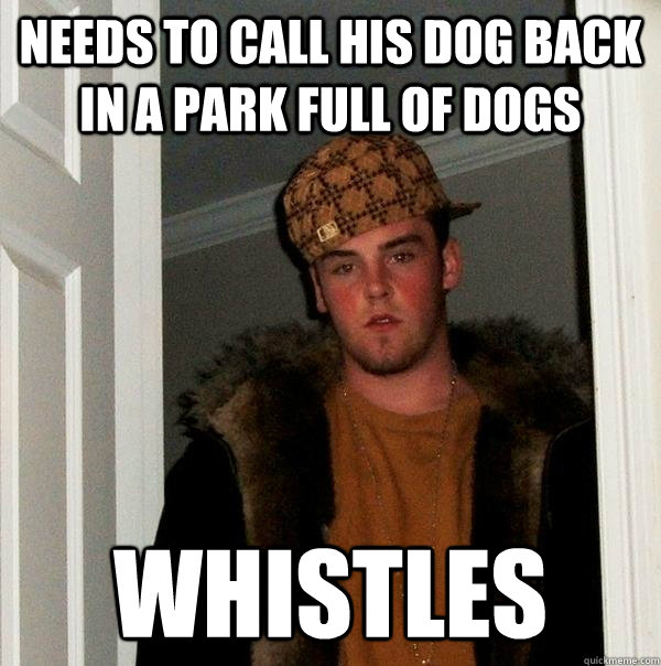 needs to call his dog back in a park full of dogs whistles - needs to call his dog back in a park full of dogs whistles  Scumbag Steve