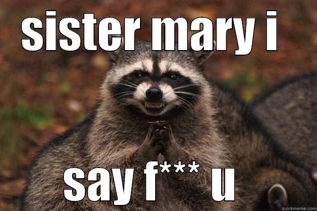 SISTER MARY I  SAY F*** U  Evil Plotting Raccoon