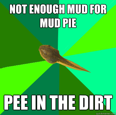 Not enough mud for mud pie pee in the dirt - Not enough mud for mud pie pee in the dirt  Foul Child Tadpole