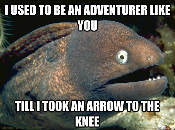 I used to be an adventurer like you Till i took an arrow to the knee  Bad Joke Eel