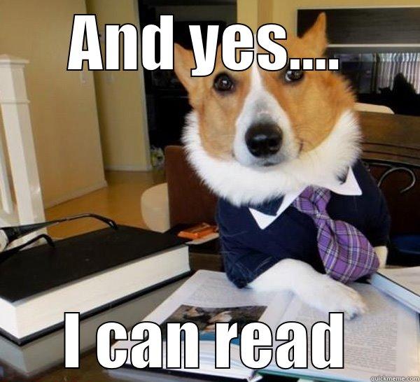 AND YES.... I CAN READ Lawyer Dog