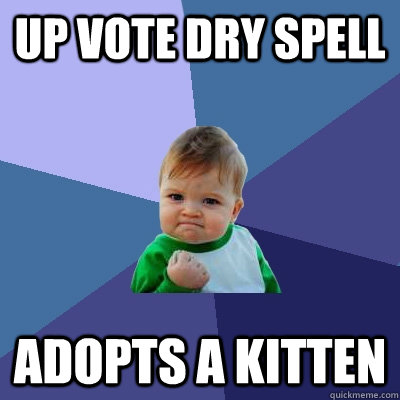 Up Vote dry spell adopts a kitten  Success Kid