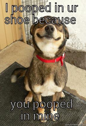 I POOPED IN UR SHOE BECAUSE  YOU POOPED IN MINE  Good Dog Greg