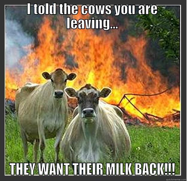 I TOLD THE COWS YOU ARE LEAVING... THEY WANT THEIR MILK BACK!!! Evil cows