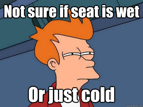 Not sure if seat is wet Or just cold - Not sure if seat is wet Or just cold  Futurama Fry