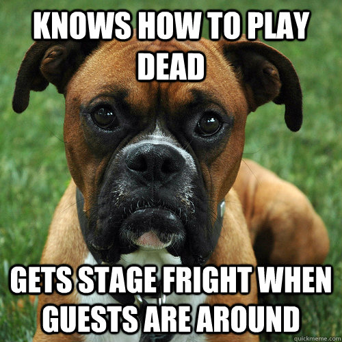 Knows how to play dead gets stage fright when guests are around - Knows how to play dead gets stage fright when guests are around  Disobedience Dog