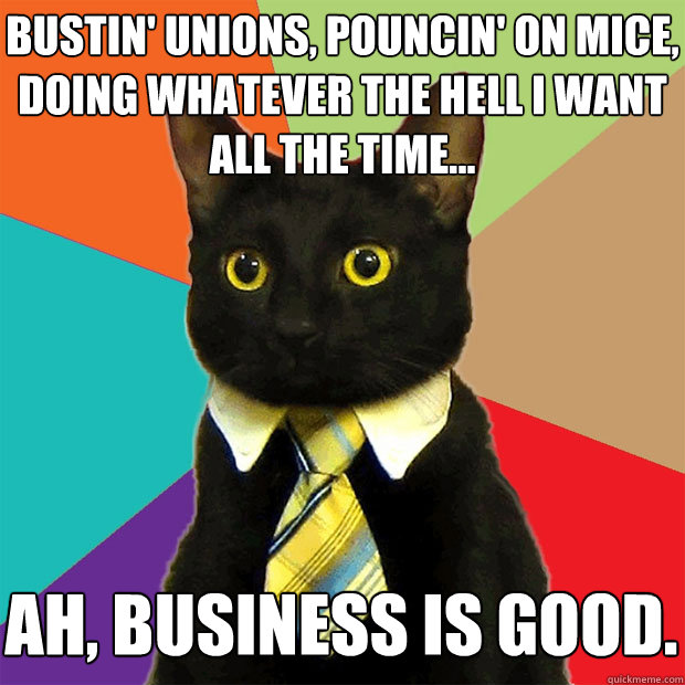 Bustin' Unions, pouncin' on mice, doing whatever the hell I want all the time... ah, business is good.  Business Cat