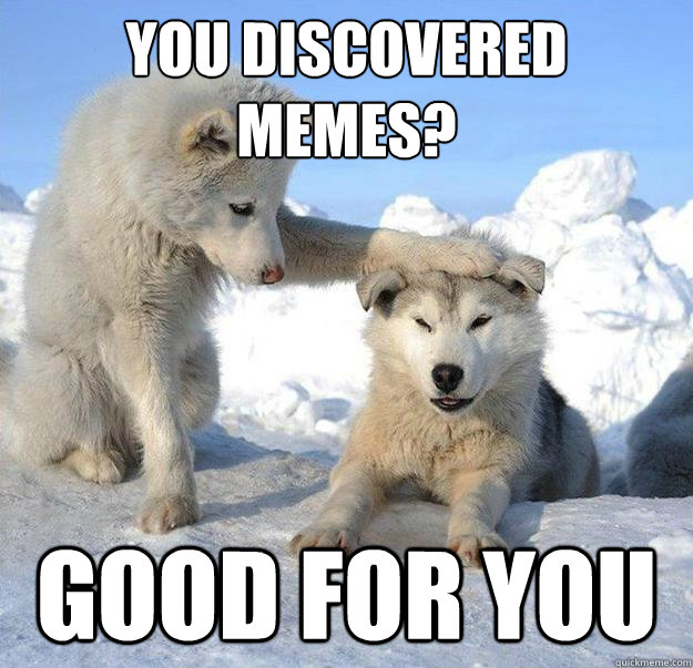 You discovered memes?
 good for you  Caring Husky