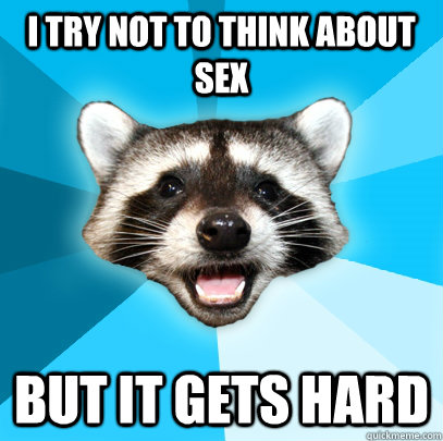 I try not to think about sex but it gets hard  Lame Pun Coon