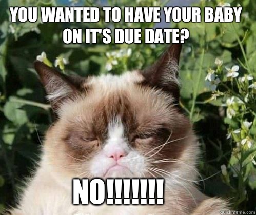 You wanted to have your baby on it's due date? No!!!!!!! - You wanted to have your baby on it's due date? No!!!!!!!  Misc