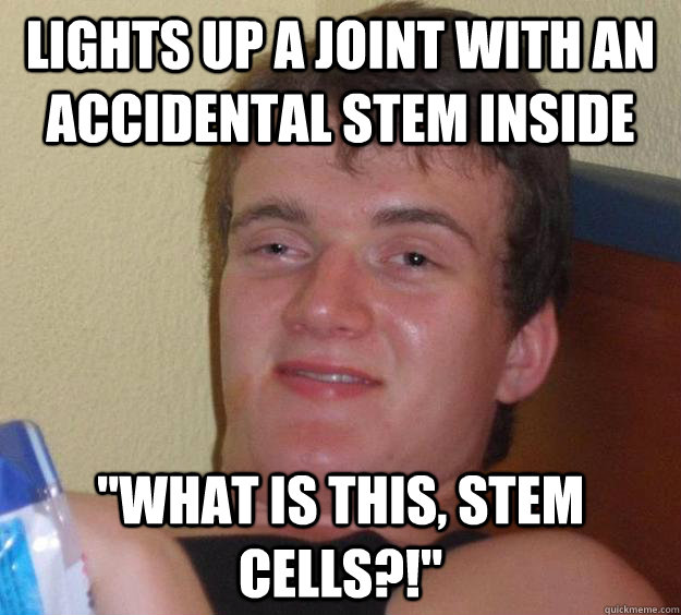 Lights up a joint with an accidental stem inside 