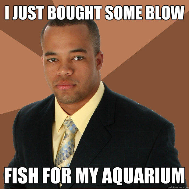 i just bought some blow fish for my aquarium - i just bought some blow fish for my aquarium  Successful Black Man