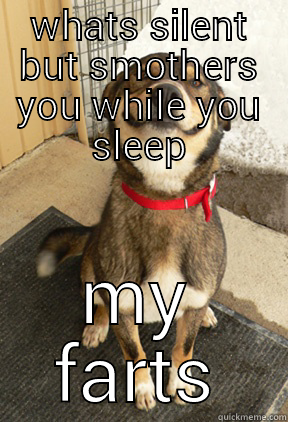 WHATS SILENT BUT SMOTHERS YOU WHILE YOU SLEEP MY FARTS Good Dog Greg