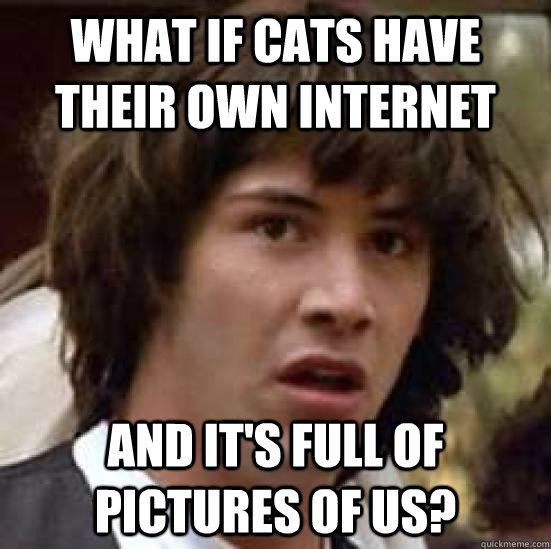 What if cats have their own internet and it's full of pictures of us?  conspiracy keanu