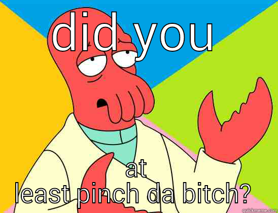 DID YOU AT LEAST PINCH DA BITCH?  Futurama Zoidberg 