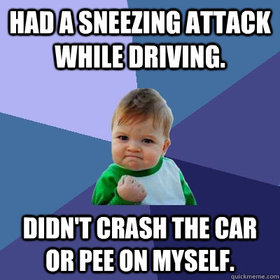 Had a sneezing attack while driving. Didn't crash the car or pee on myself. - Had a sneezing attack while driving. Didn't crash the car or pee on myself.  Success Kid