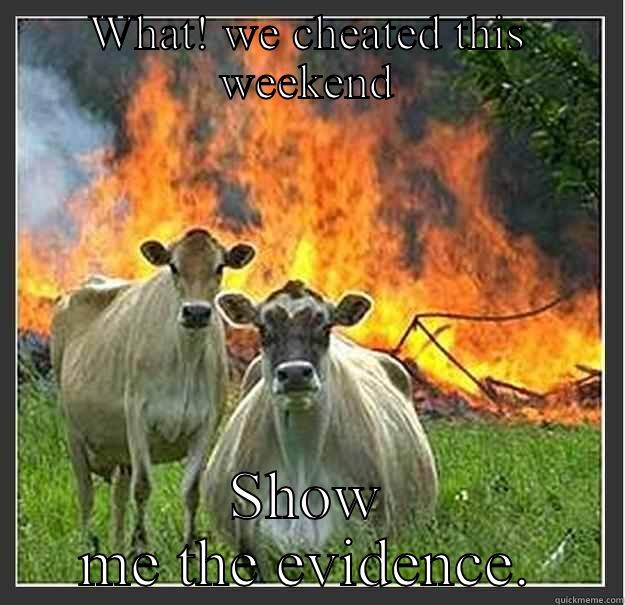 After a stankees! Win - WHAT! WE CHEATED THIS WEEKEND SHOW ME THE EVIDENCE. Evil cows