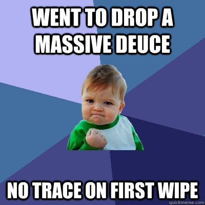 went to drop a massive deuce No trace on first wipe  Success Kid