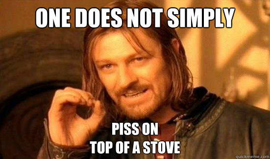 One Does Not Simply piss on 
top of a stove  Boromir