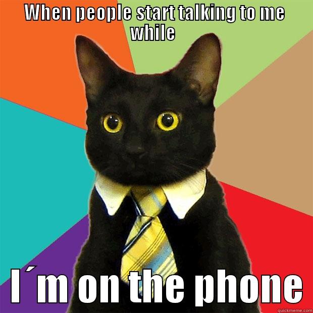 WHEN PEOPLE START TALKING TO ME WHILE    I´M ON THE PHONE Business Cat