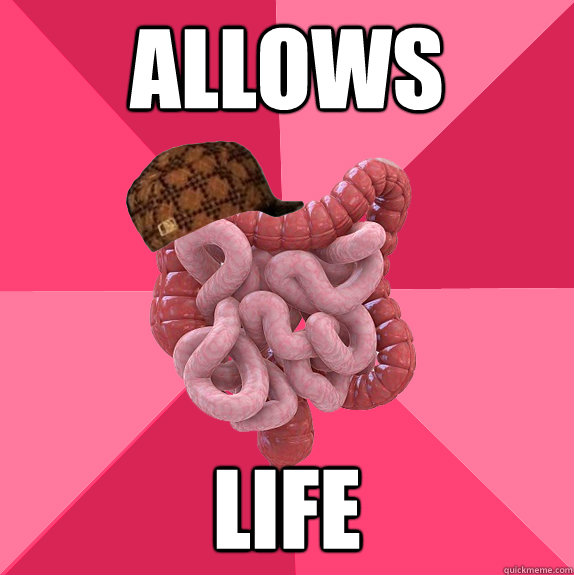 Allows Life  Scumbag Intestines