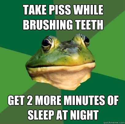 Take Piss While Brushing Teeth Get 2 more minutes of sleep at night  Foul Bachelor Frog