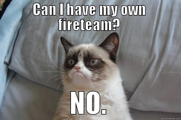 Pvt being told no - CAN I HAVE MY OWN FIRETEAM? NO. Grumpy Cat