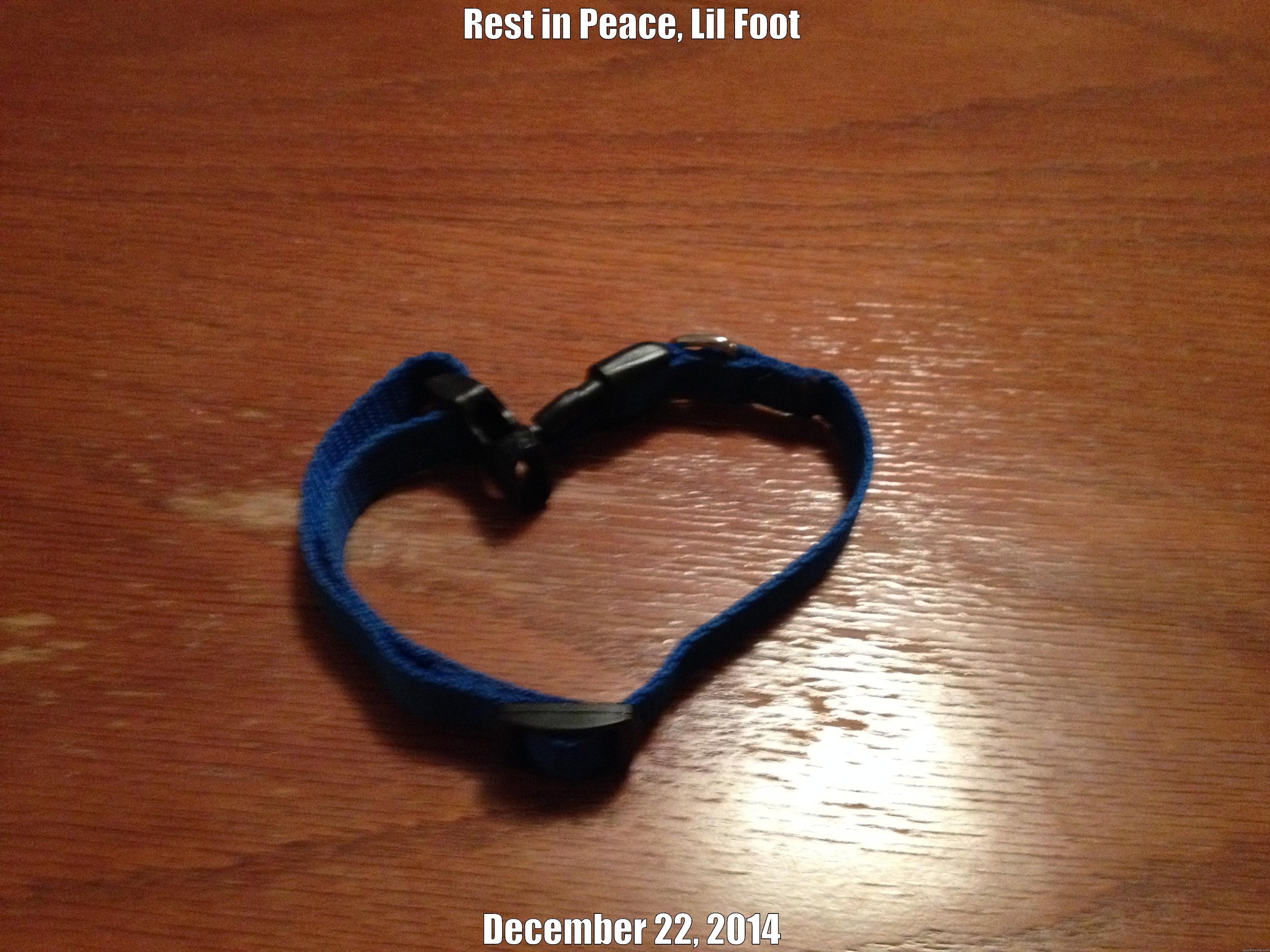 REST IN PEACE, LIL FOOT DECEMBER 22, 2014 Misc