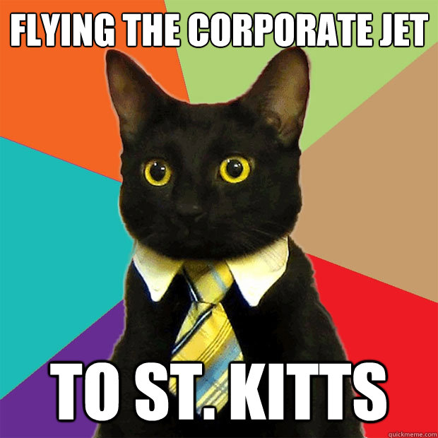 Flying the corporate jet To St. Kitts  Business Cat