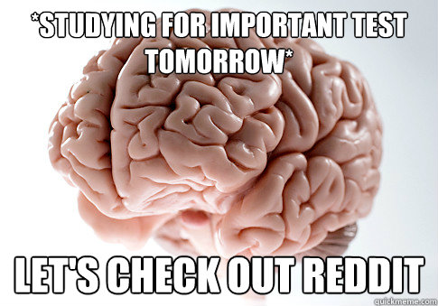 *studying for important test tomorrow* Let's check out reddit  Scumbag Brain