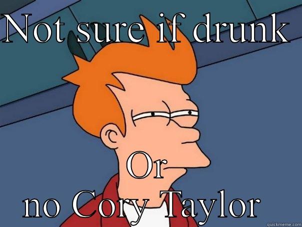 NOT SURE IF DRUNK  OR NO CORY TAYLOR  Futurama Fry