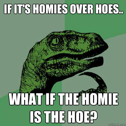 If it's Homies over Hoes.. What if the homie is the hoe? - If it's Homies over Hoes.. What if the homie is the hoe?  Philosoraptor