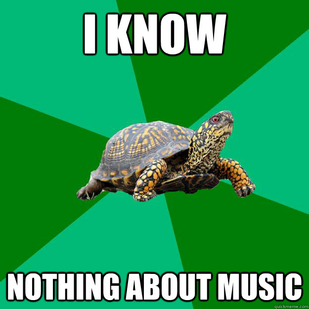 I know NOthing about music  Torrenting Turtle